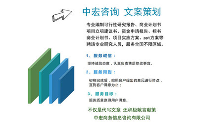新能源項目商業(yè)計劃書代寫制作與咨詢策劃服務 打造專業(yè)藍圖，賦能綠色未來